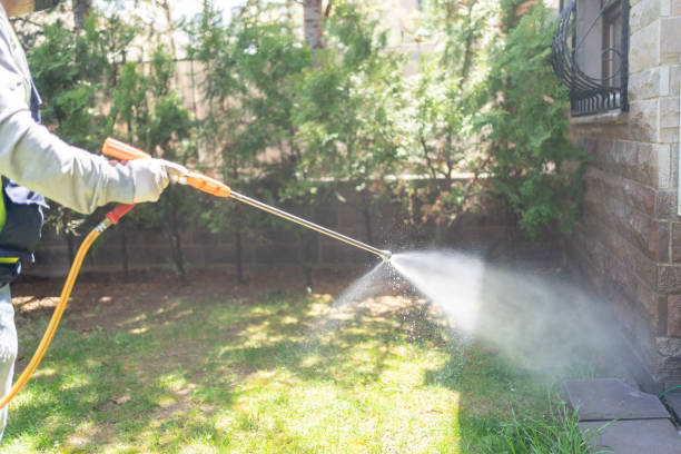 Wasp Removal Services in Borger, TX